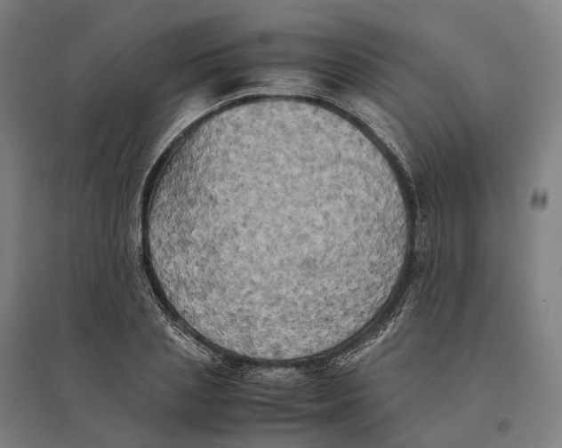 X0000095120837200712301758