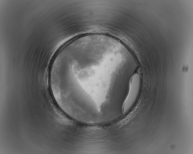 X0000095120838200712301758