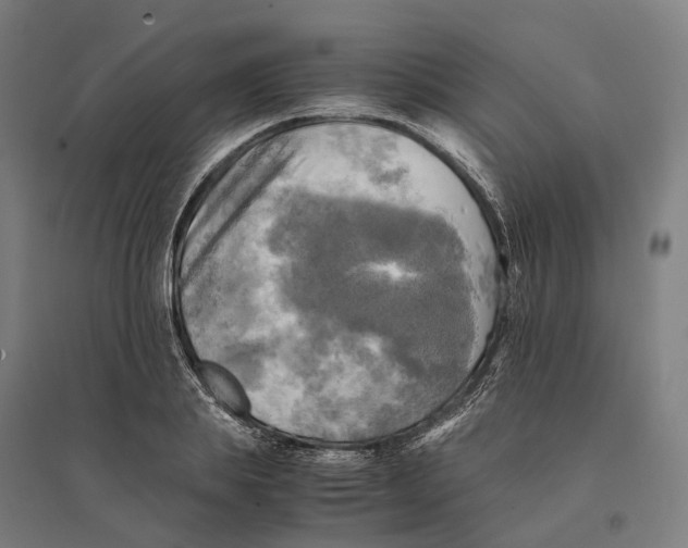 X0000095120839200712301758