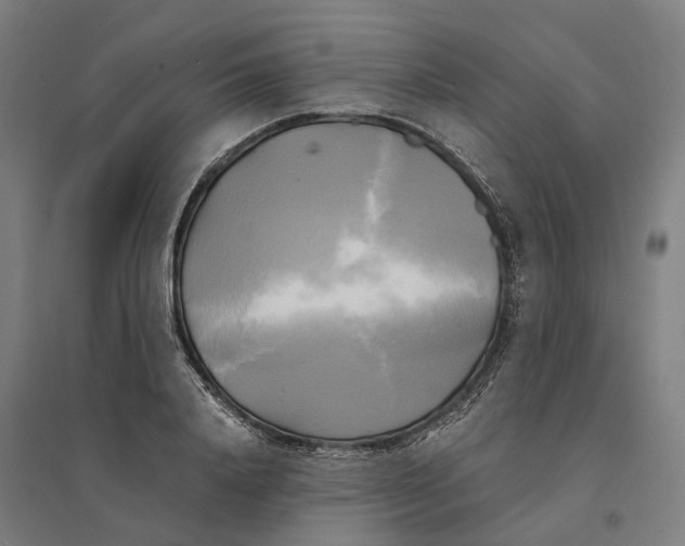 X0000095120840200712301758