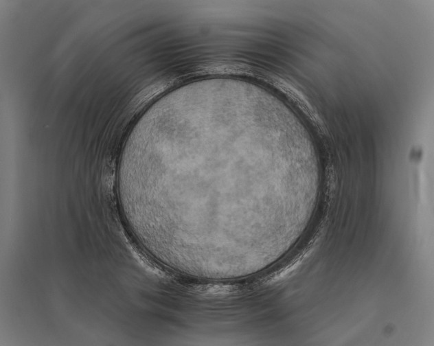 X0000095120841200712301758