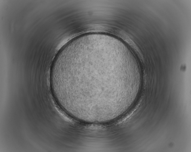 X0000095120842200712301758