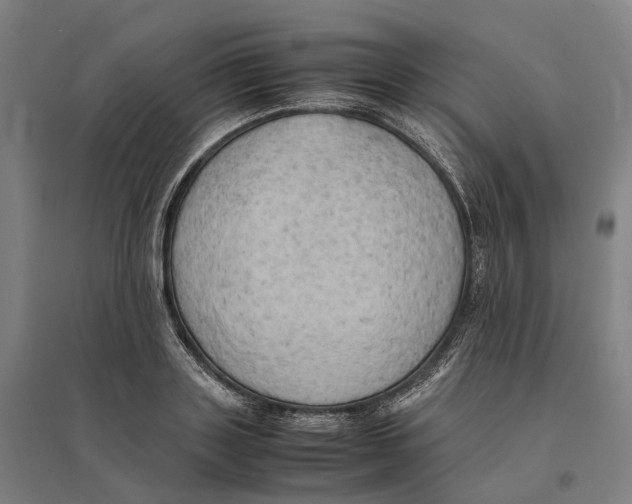 X0000095120843200712301758