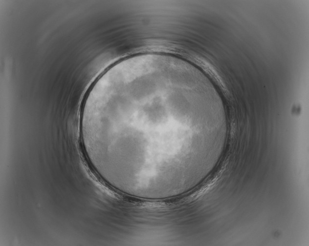 X0000095120844200712301758