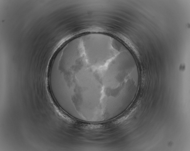 X0000095120845200712301758