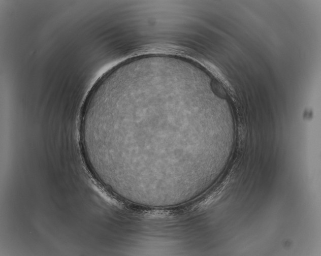 X0000095120846200712301758