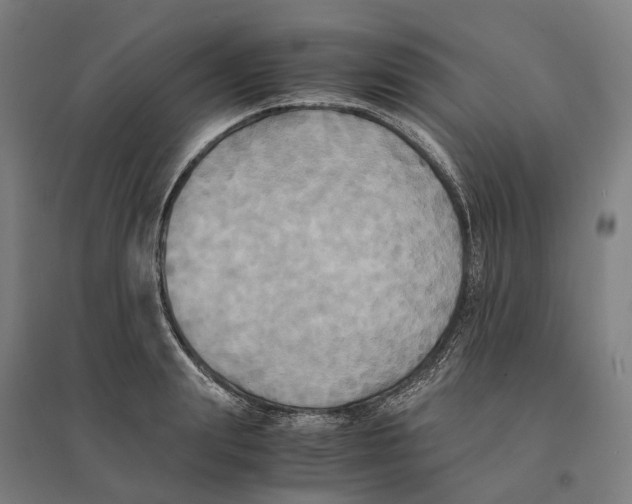 X0000095120847200712301758