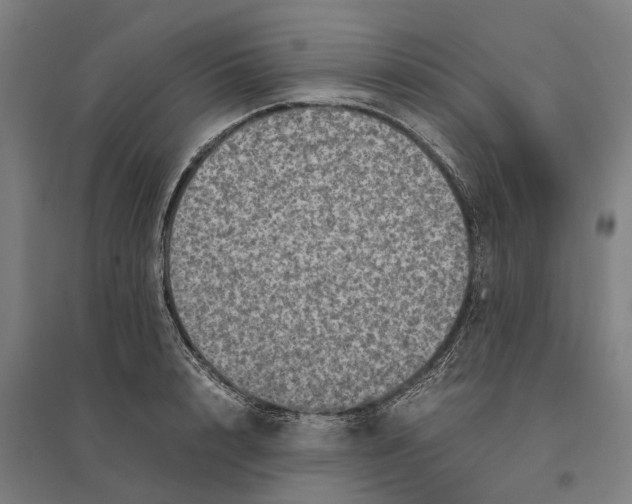 X0000095120848200712301758