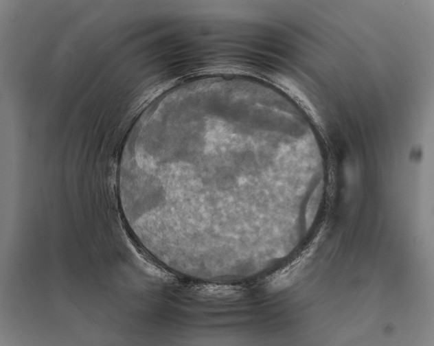 X0000095120849200712301758