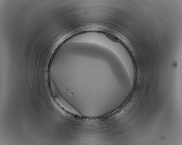 X0000095120850200712301758