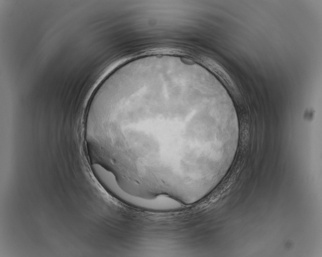 X0000095120852200712301758