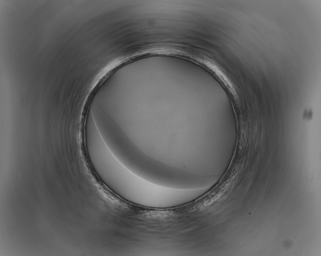 X0000095120853200712301758