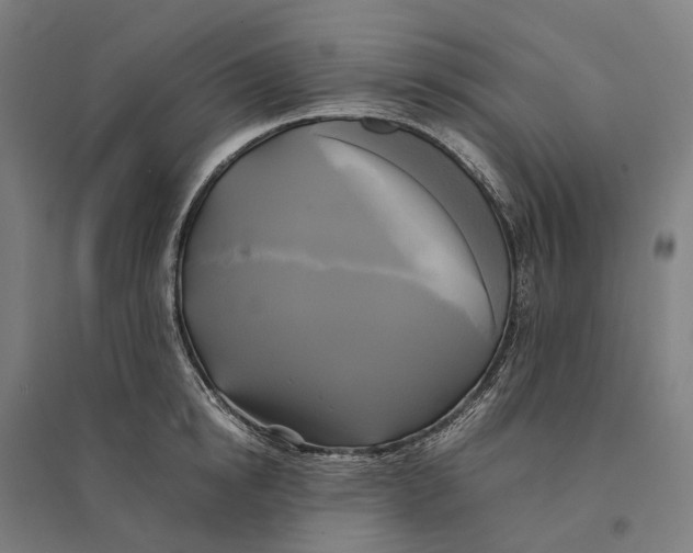 X0000095120854200712301758