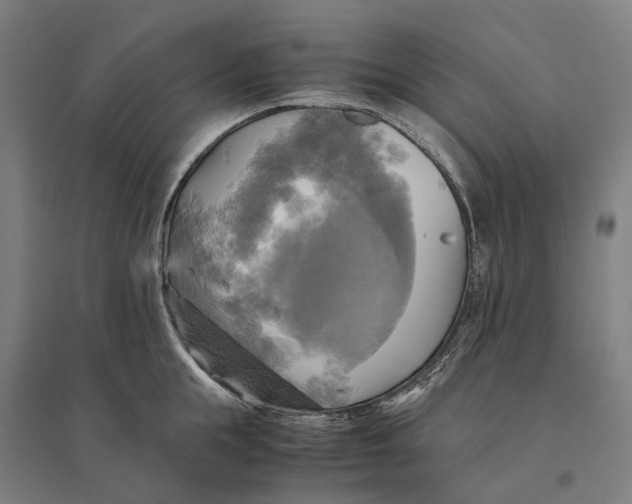 X0000095120855200712301758