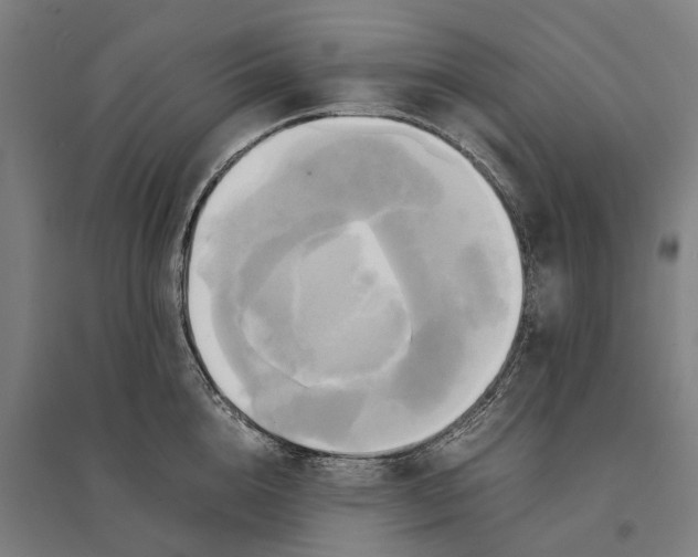 X0000095120856200712301758