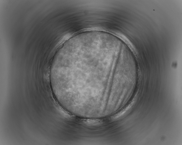 X0000095120857200712301758