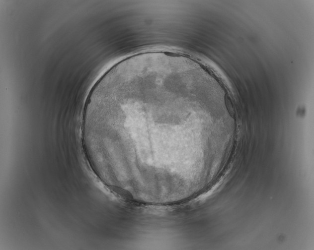 X0000095120860200712301759