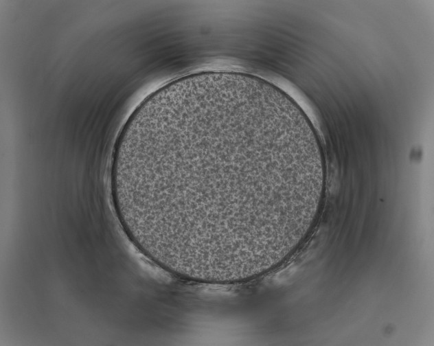 X0000095120861200712301759