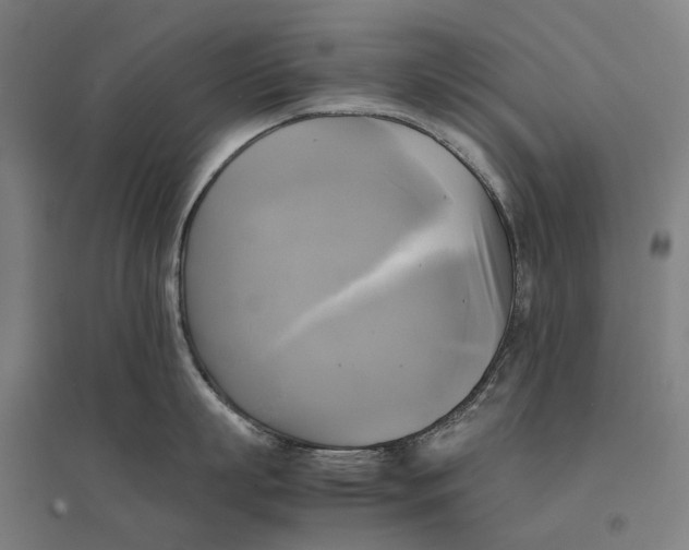 X0000095120863200712301759