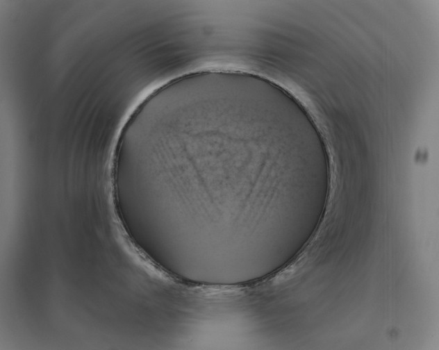 X0000095120864200712301759