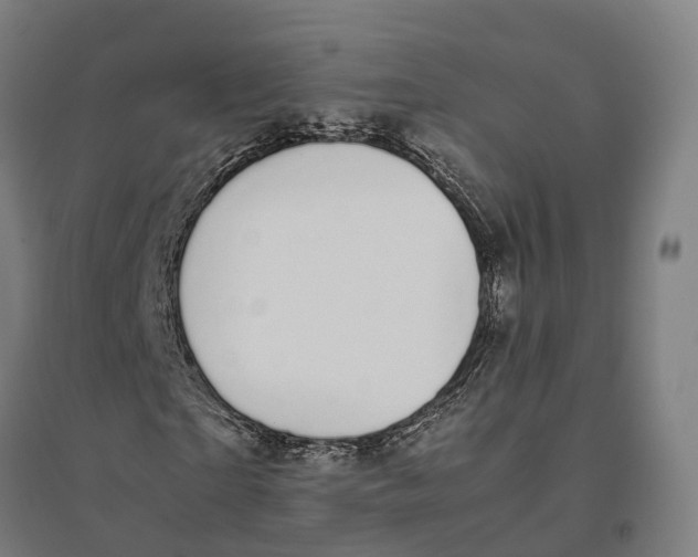 X0000095120865200712301758