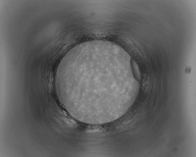 X0000095120866200712301758