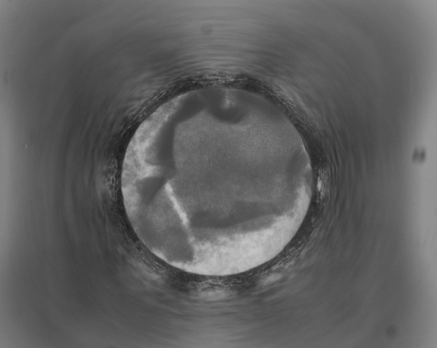 X0000095120867200712301758