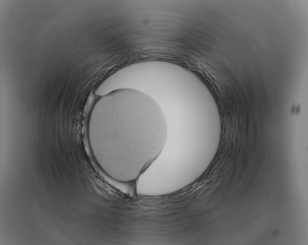 X0000095120868200712301758