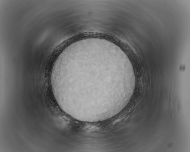 X0000095120870200712301758