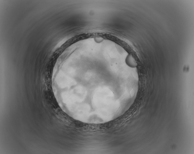 X0000095120871200712301758