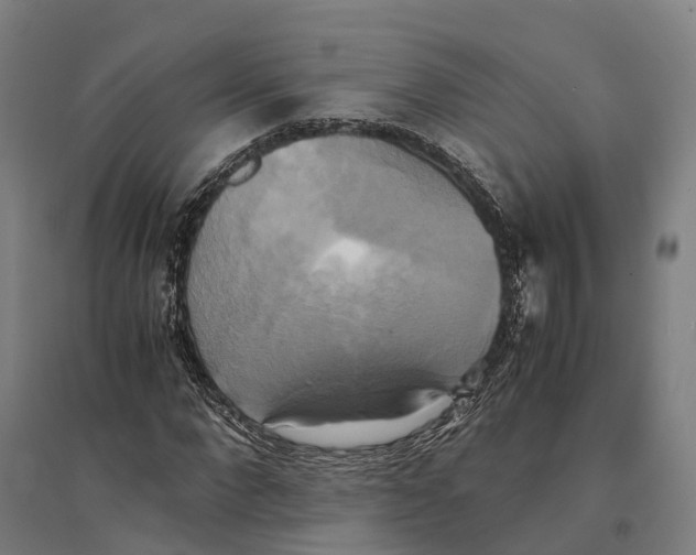 X0000095120872200712301758