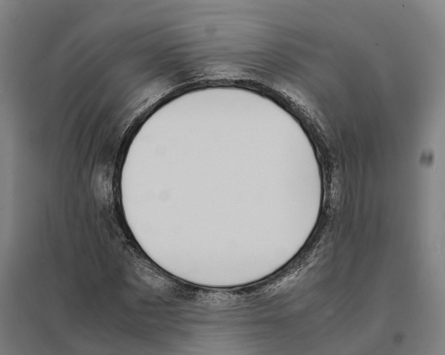 X0000095120873200712301758