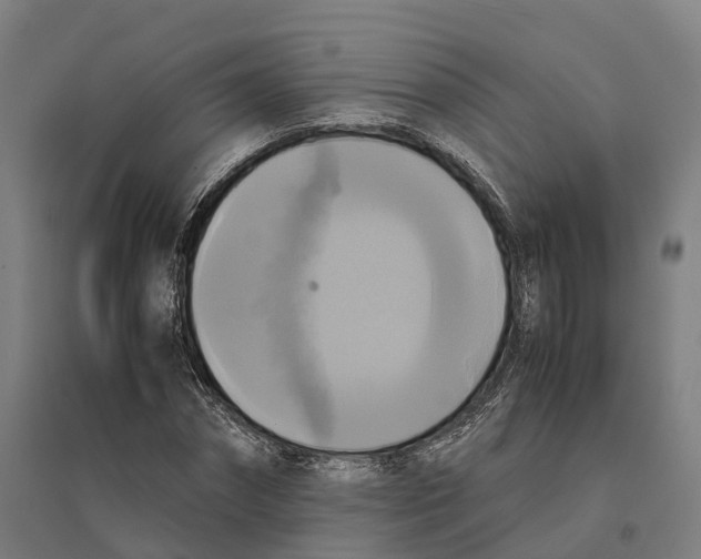 X0000095120874200712301758