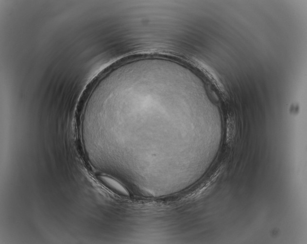 X0000095120876200712301758