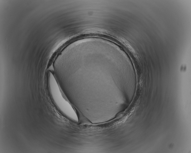 X0000095120877200712301758