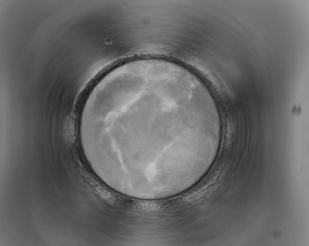 X0000095120878200712301758