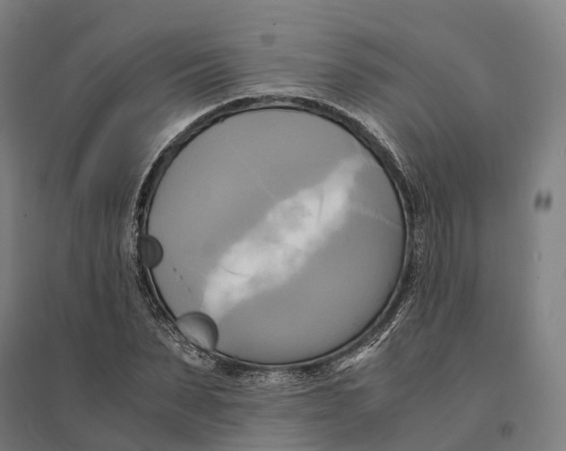 X0000095120879200712301758