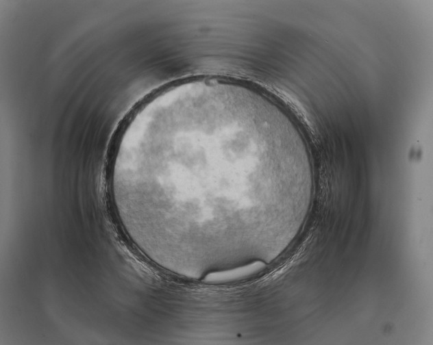 X0000095120880200712301758