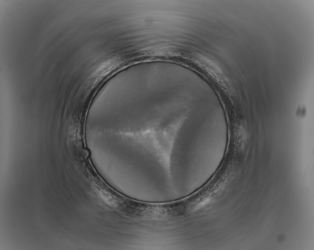 X0000095120881200712301758