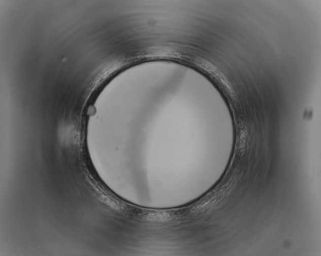 X0000095120882200712301758