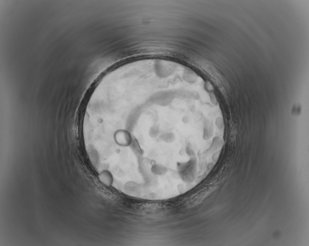 X0000095120883200712301758