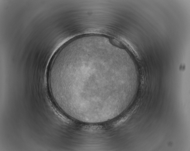 X0000095120884200712301758