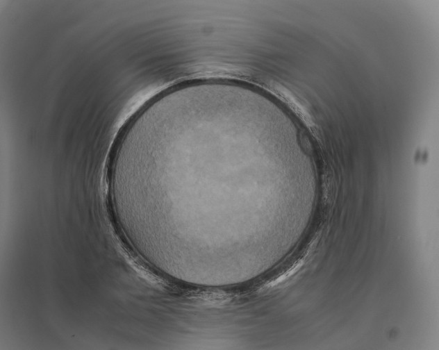 X0000095120885200712301758