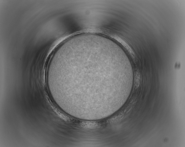 X0000095120886200712301758