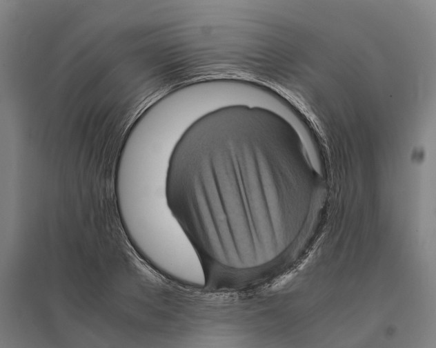 X0000095120889200712301758