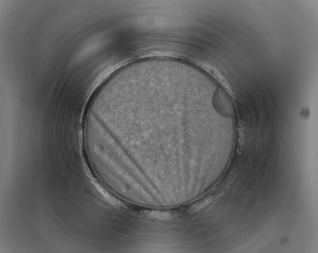 X0000095120890200712301758