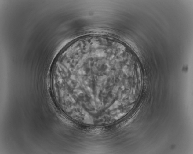 X0000095120891200712301758