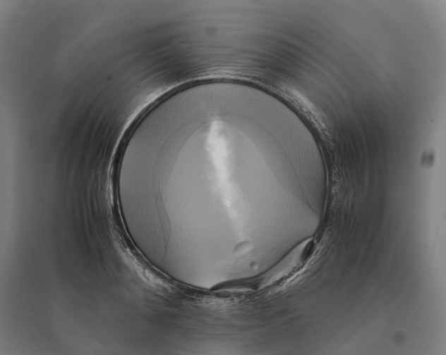 X0000095120892200712301758