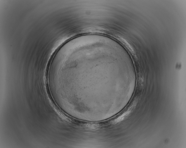 X0000095120893200712301758