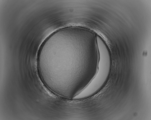 X0000095120894200712301758